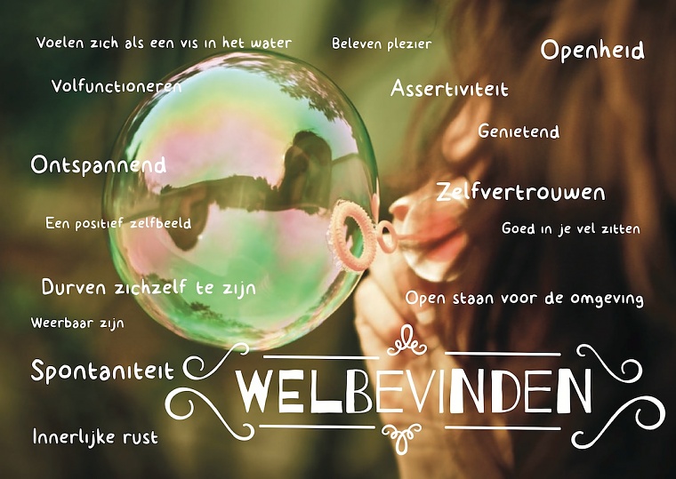 Sociaal emotioneel beleid, incl.pestaanpak